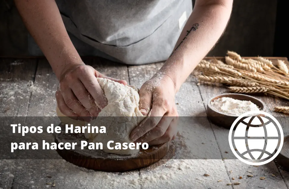 Tipos de Harina para hacer Pan Casero