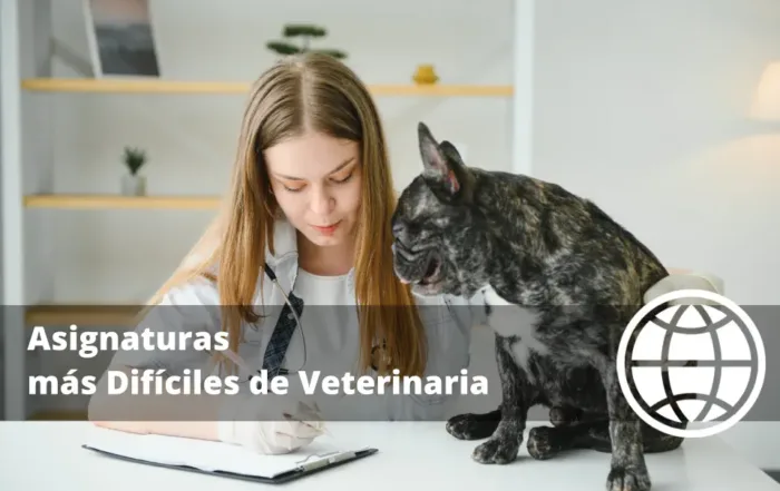 Asignaturas más Difíciles de Veterinaria
