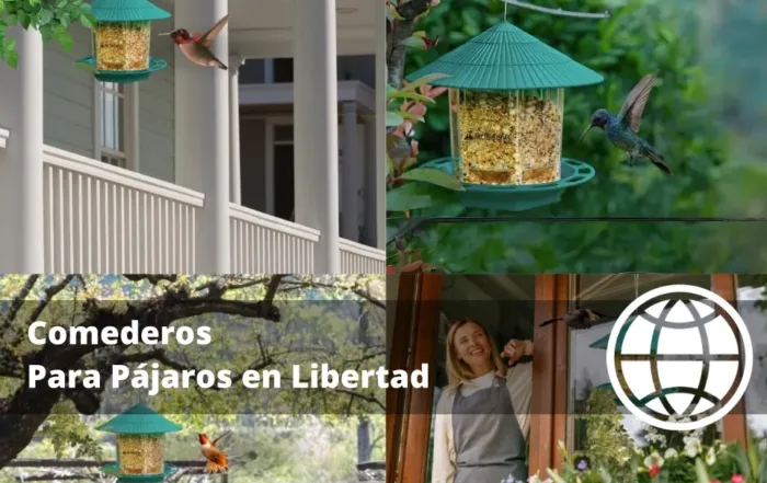 Comederos Para Pájaros en Libertad