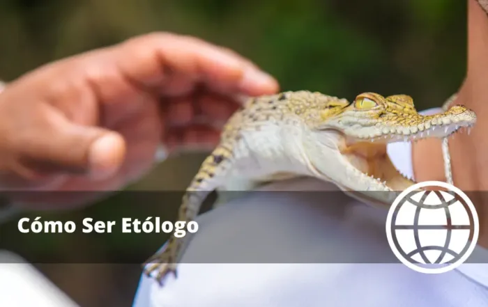 Cómo Ser Etólogo