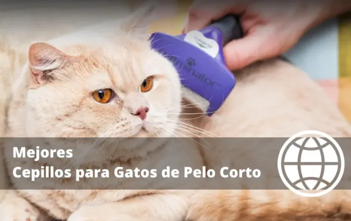 Mejores Cepillos para Gatos de Pelo Corto