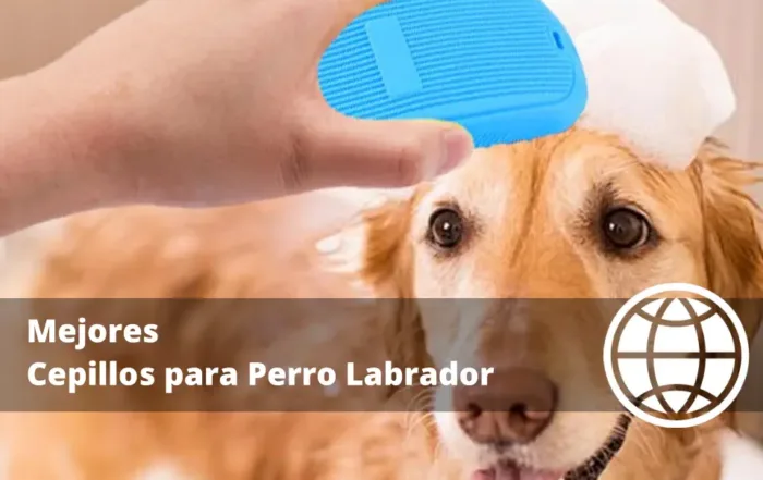 Mejores Cepillos para Perro Labrador