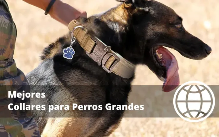 Mejores Collares para Perros Grandes