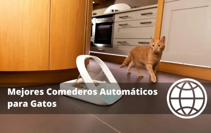 Mejores Comederos Automáticos para Gatos