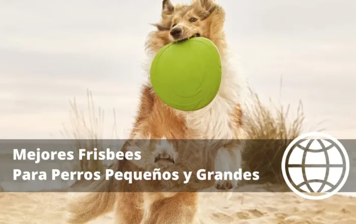 Mejores Frisbees Para Perros Pequeños y Grandes