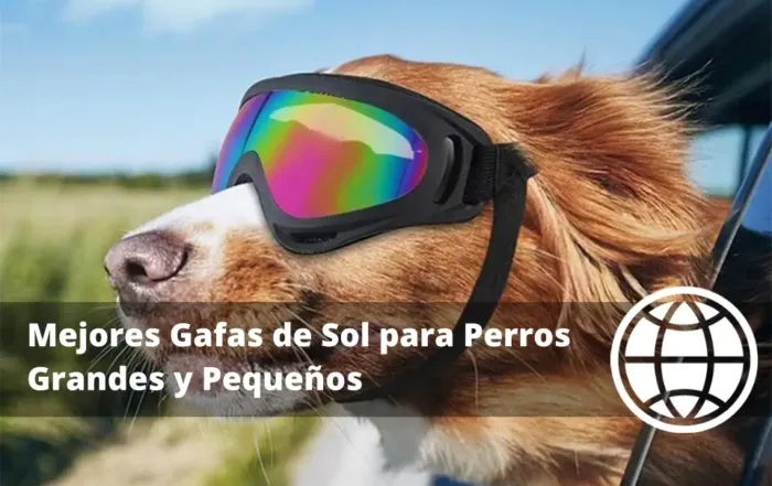 Mejores Gafas de Sol para Perros Grandes y Pequeños