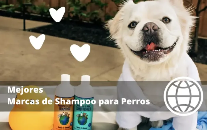 Mejores Marcas de Shampoo para Perros