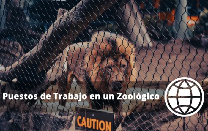 Puestos de Trabajo en un Zoológico