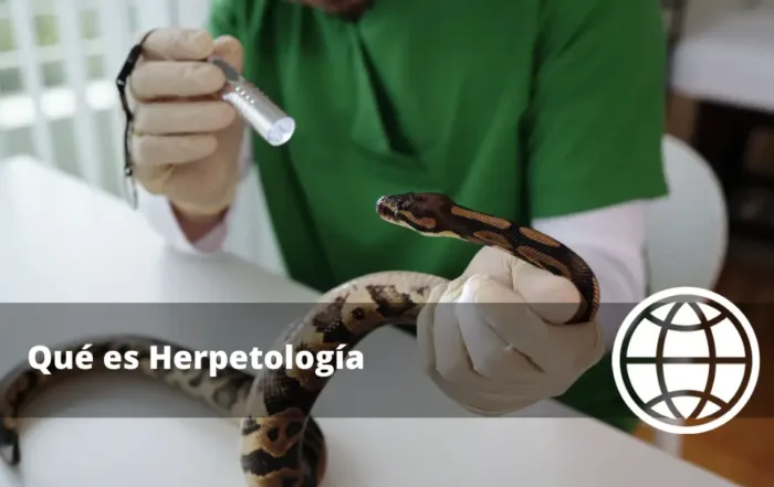 Qué es Herpetología