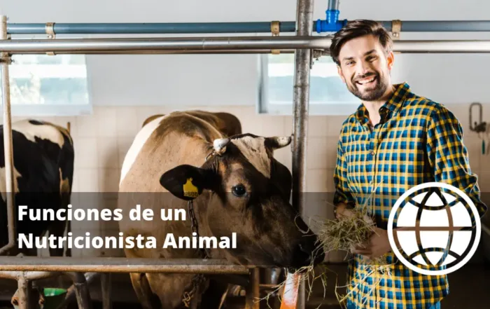 Funciones de un Nutricionista Animal