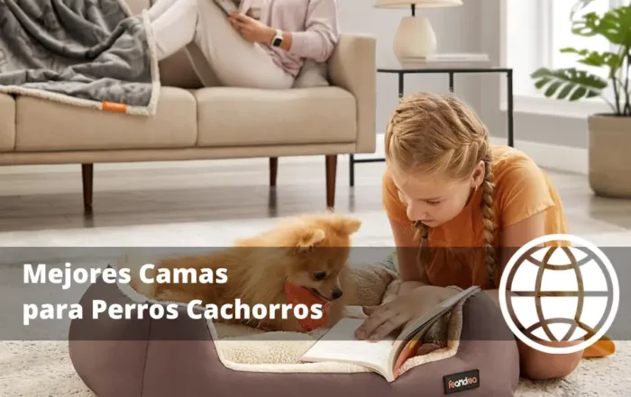 Mejores Camas para Perros Cachorros