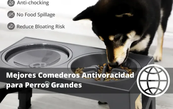 Mejores Comederos Antivoracidad para Perros Grandes