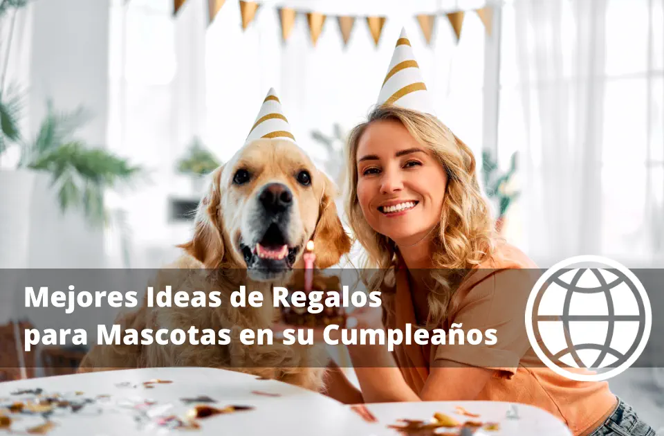 Mejores Ideas de Regalos para Mascotas en su Cumpleaños
