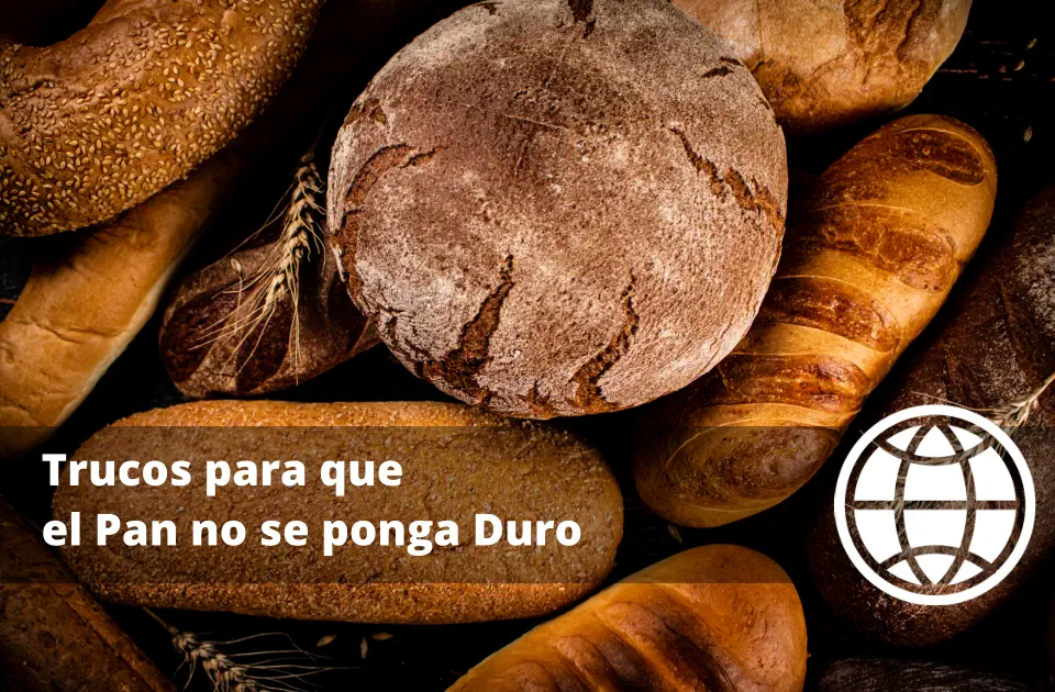 Trucos para que el Pan no se ponga Duro