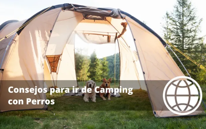 Consejos para ir de Camping con Perros y Evitar Accidentes