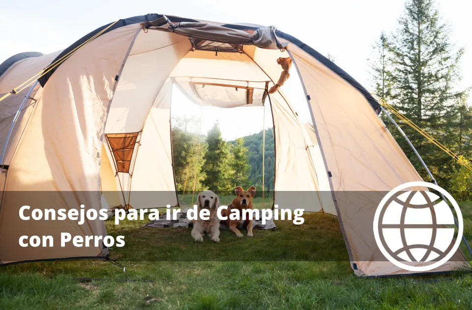 Consejos para ir de Camping con Perros y Evitar Accidentes