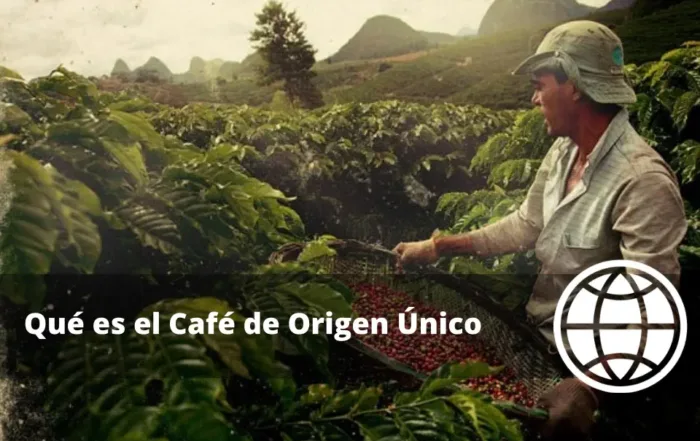 Qué es el Café de Origen Único