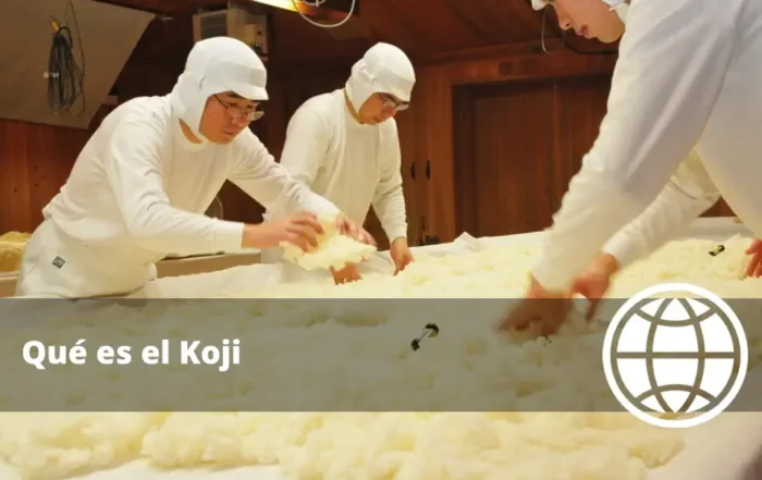 Qué es el Koji