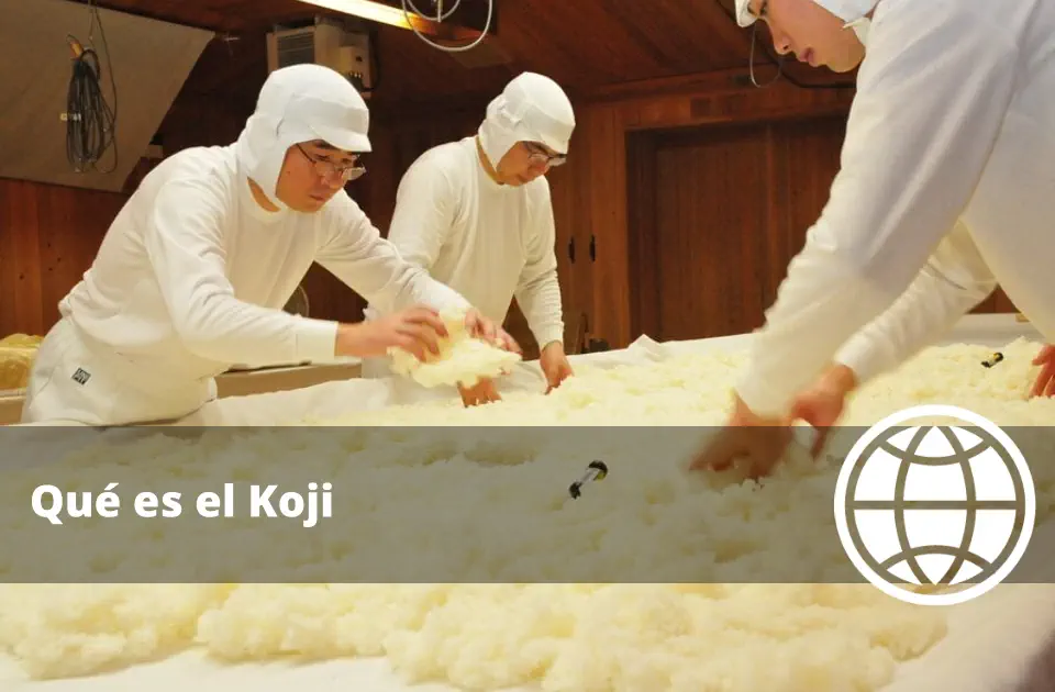 Qué es el Koji y cómo Transforma los Alimentos