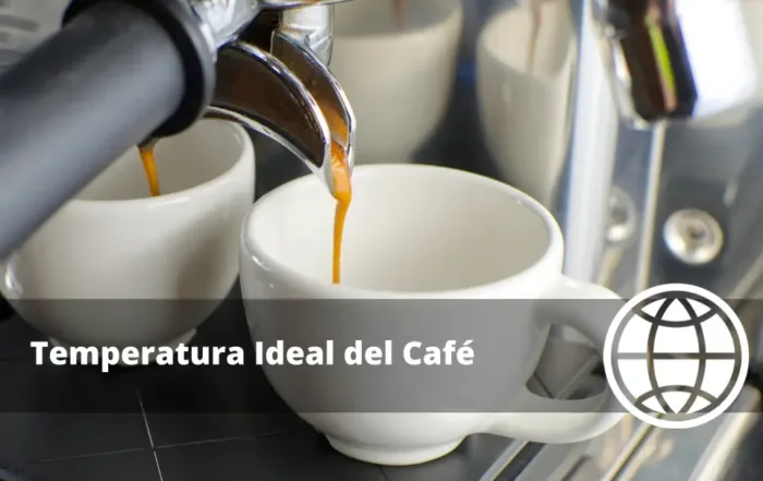 Temperatura Ideal del Café Extracción Perfecta en Cada Método
