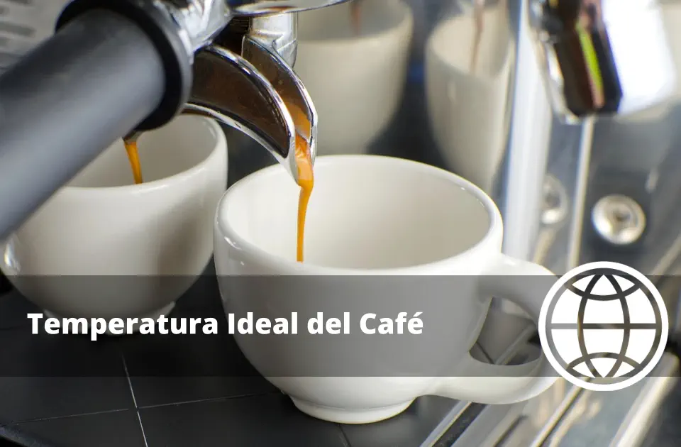 Temperatura Ideal del Café: Extracción Perfecta en Cada Método