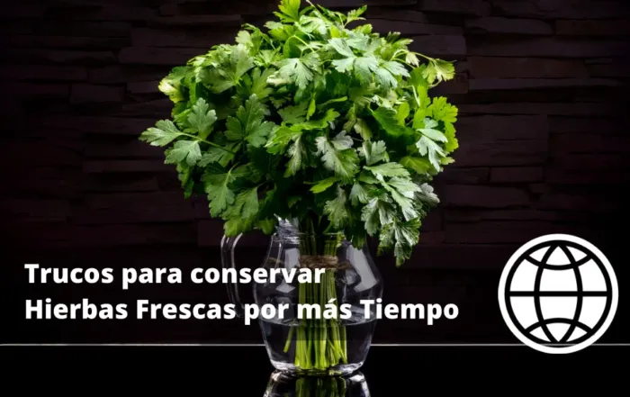 Trucos para conservar Hierbas Frescas por más Tiempo