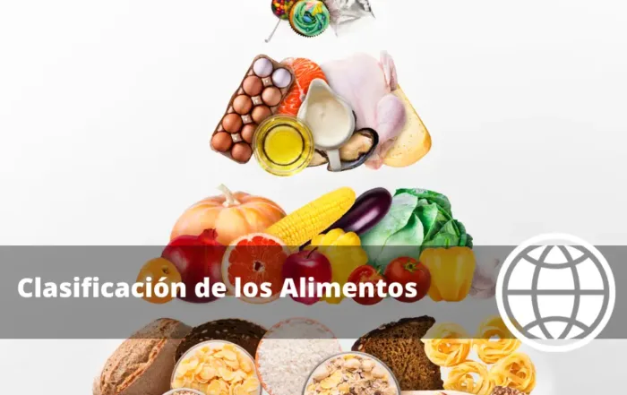 Clasificación de los Alimentos
