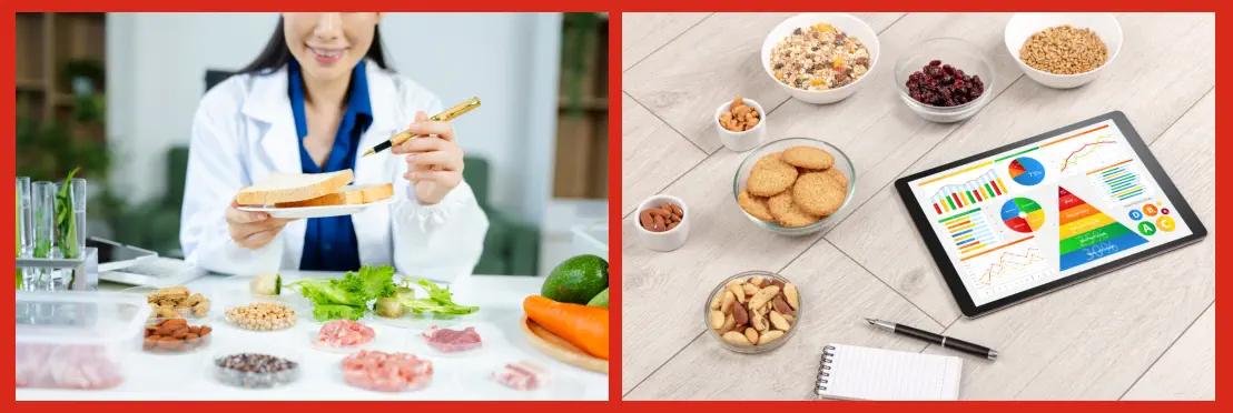 Clasificación de los Alimentos Según su Composición Función Origen y Nutrientes Clasificación de los Alimentos Según su Composición Función Origen y Nutrientes