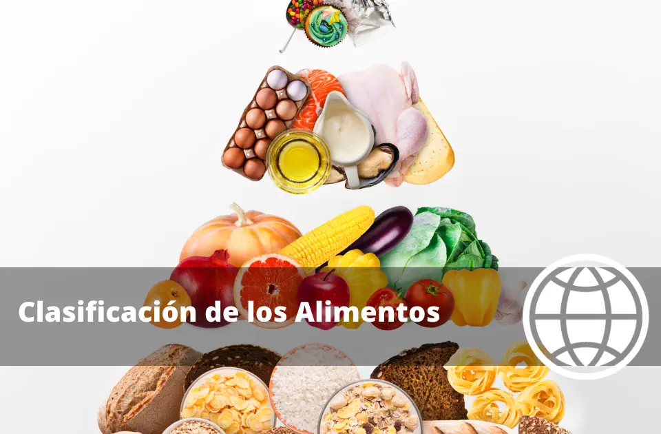 Clasificación de los Alimentos