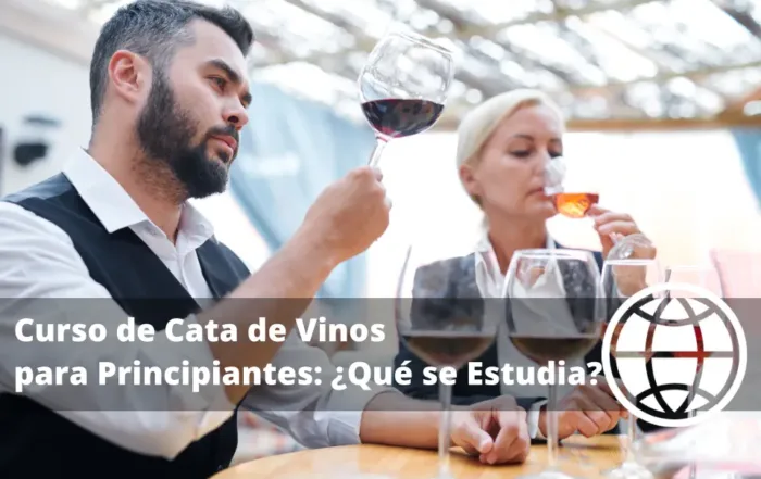 Curso de Cata de Vinos para Principiantes