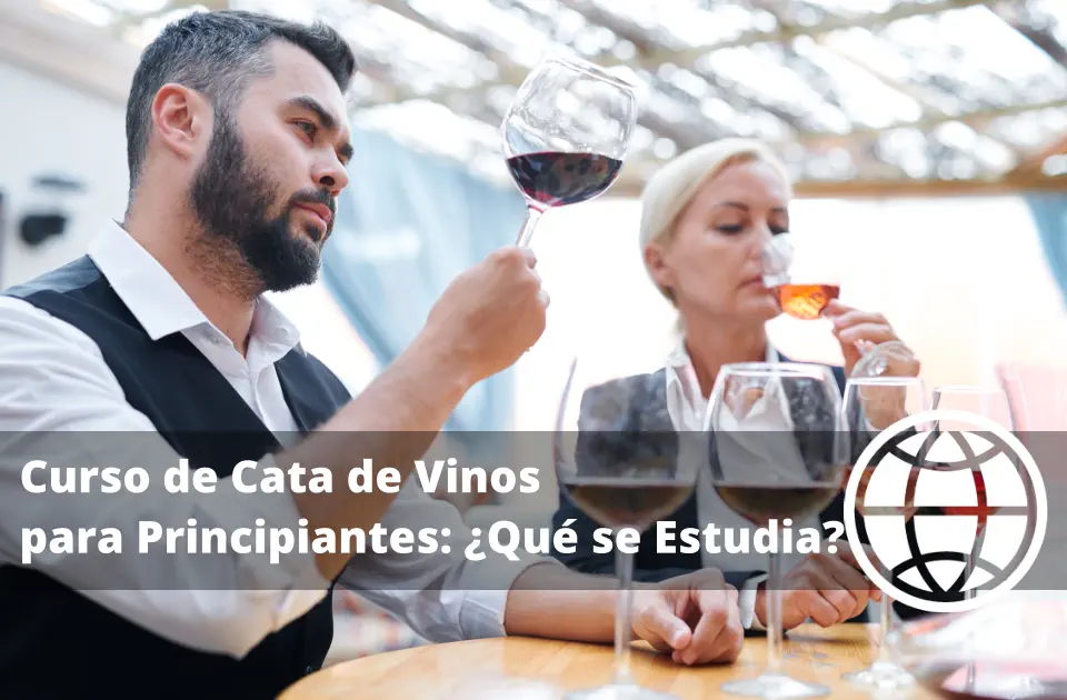 Curso de Cata de Vinos para Principiantes: ¿Qué se Estudia?