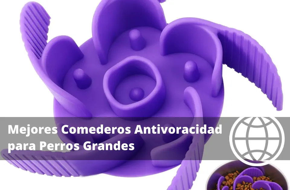 Mejores Comederos Antivoracidad para Perros Grandes