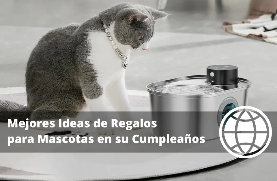Mejores Ideas de Regalos para Mascotas en su Cumpleaños
