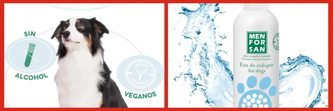 Mejores Perfumes para Evitar malos Olores en Perros