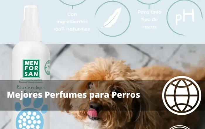 Mejores Perfumes para Perros