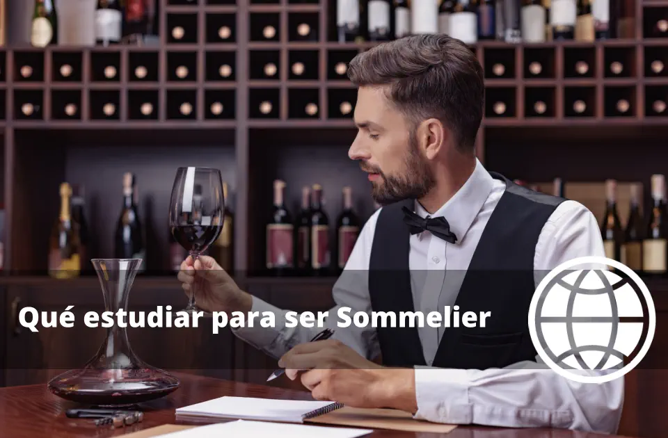 Qué estudiar para ser Sommelier