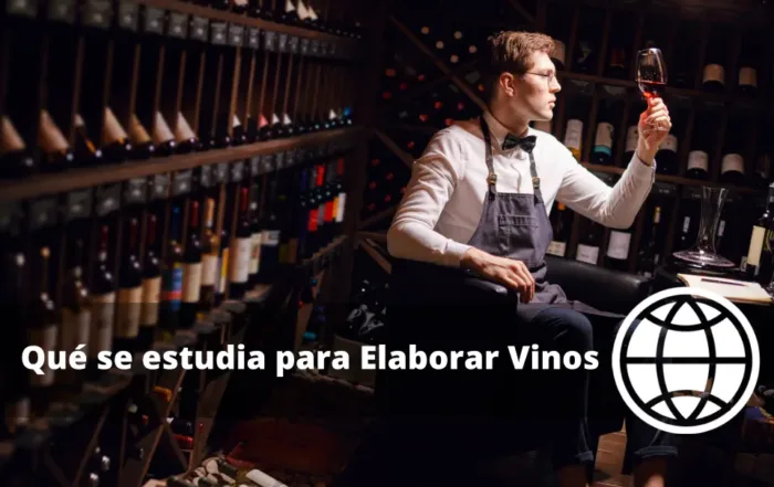 Qué se estudia para Elaborar Vinos