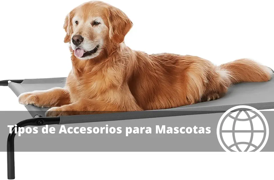 Tipos de Accesorios para Mascotas