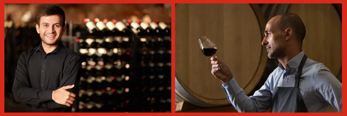 Tipos de estudios para aprender a elaborar vinos