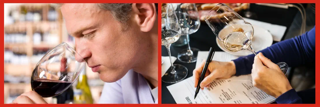 que se estudia para aprender a degustar y evaluar vinos