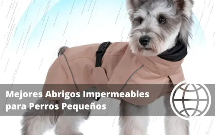 Mejores Abrigos Impermeables para Perros Pequeños