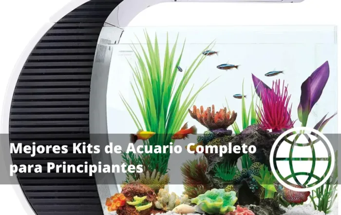 Mejores Kits de Acuario Completo para Principiantes