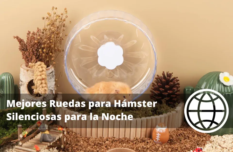Mejores Ruedas para Hámster Silenciosas para la Noche